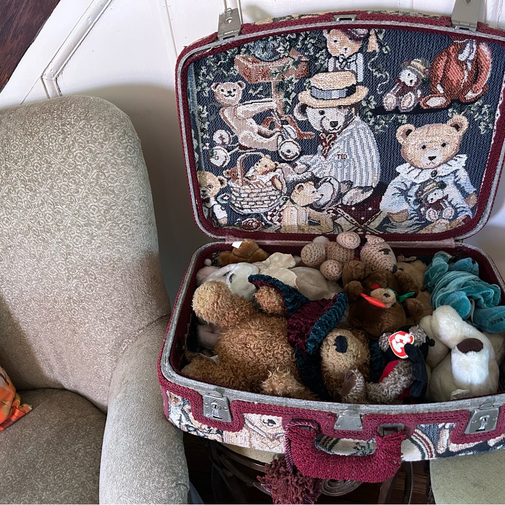 Tapestry Suitcase with Teddy Bear Design includes bears inside